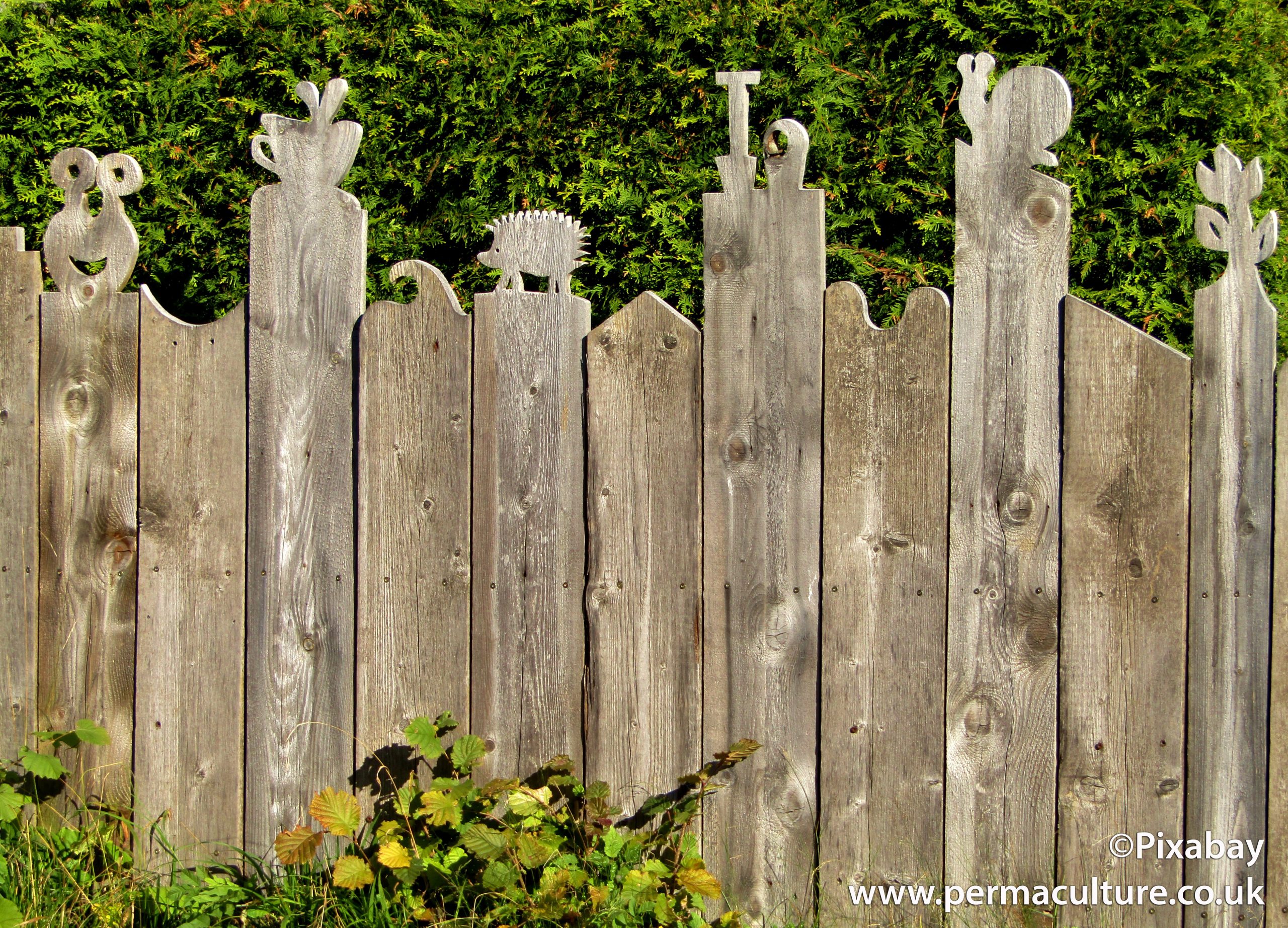 20 Ways to Control Slugs in the Permaculture Garden or Allotment