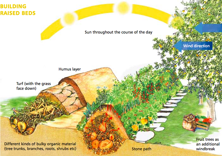 www.permaculture.co.uk