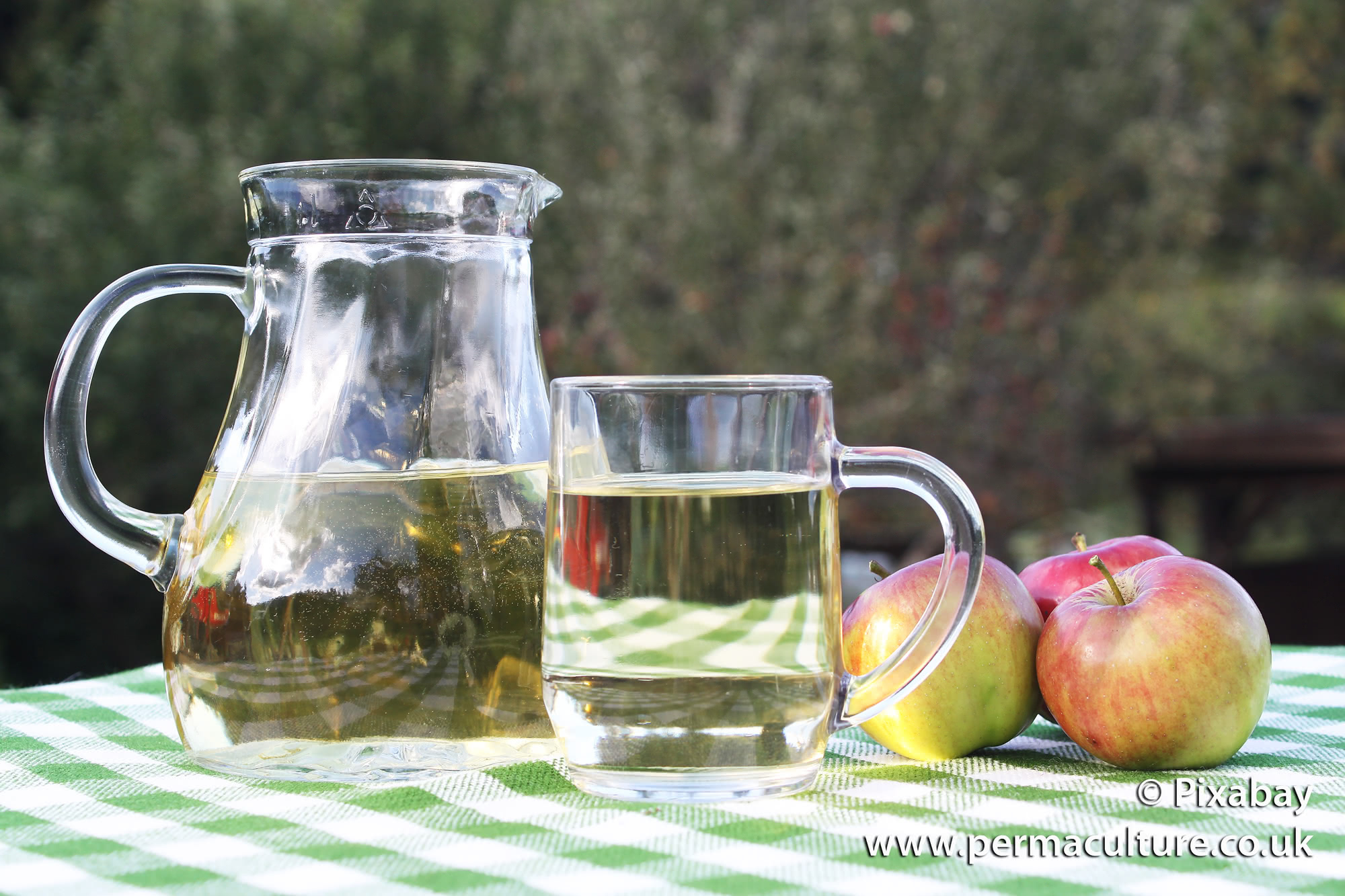 How to Make Apple Wine