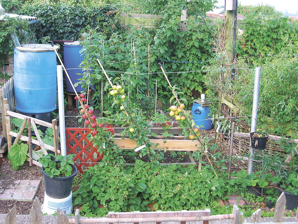 Wade Muggleton’s back garden has been designed using permaculture principles.