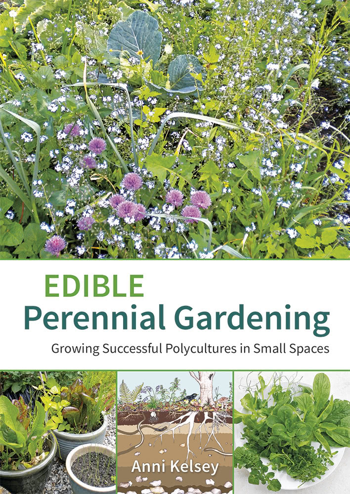 Edible Perennial Gardening