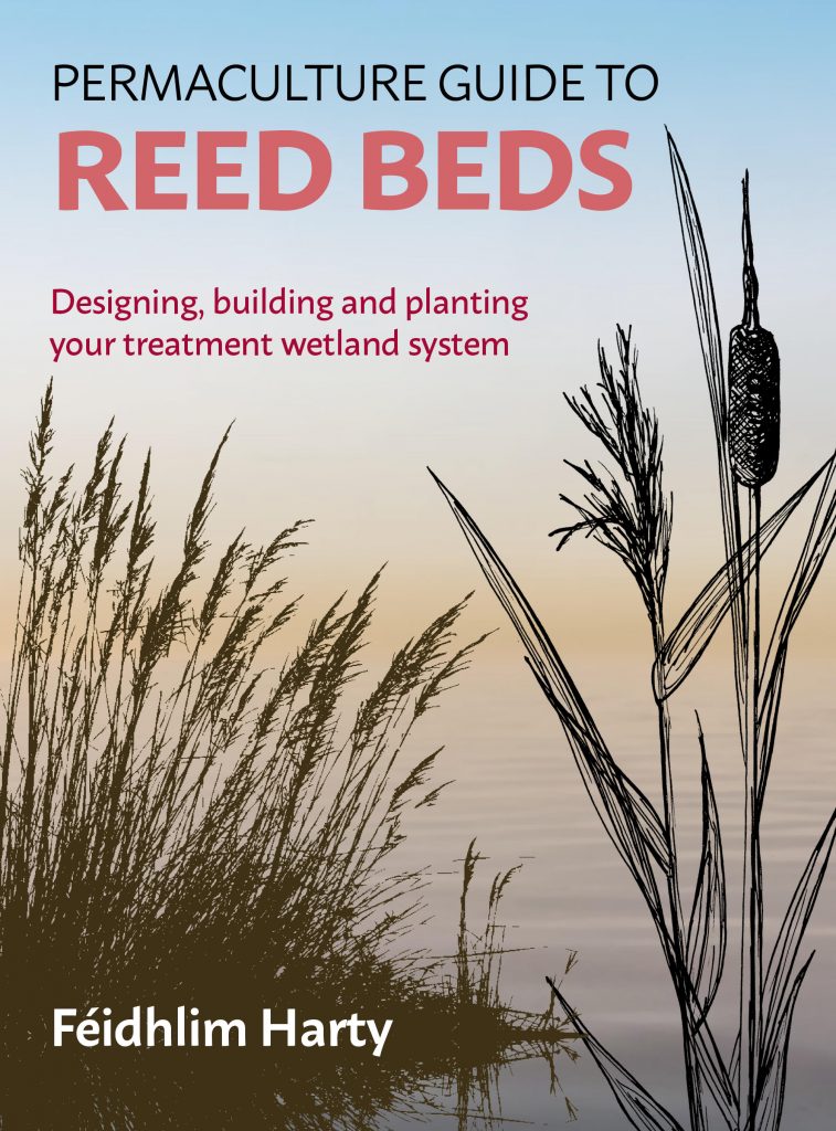 Permaculture Guide to Reed Beds Permaculture