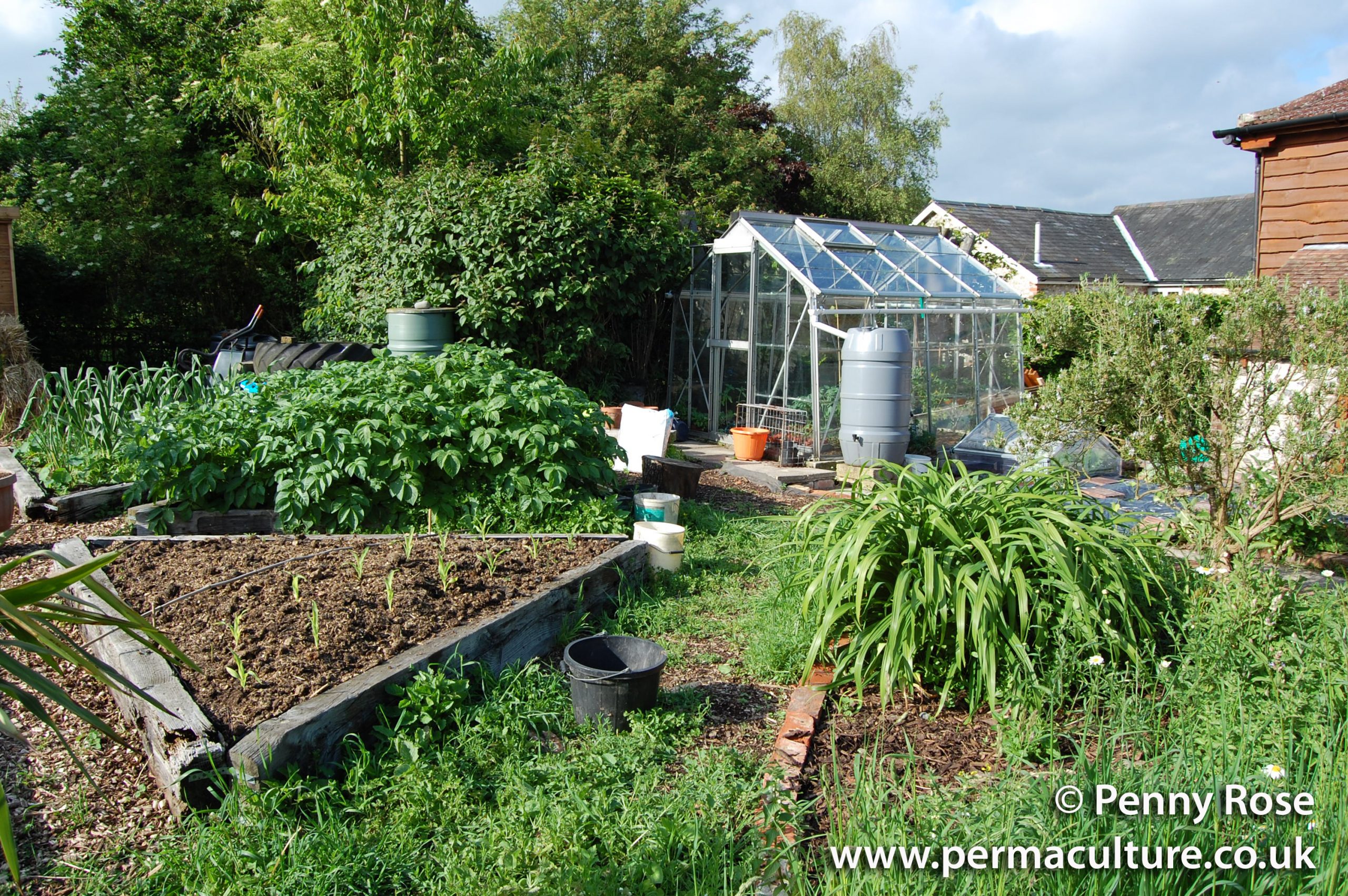 1. Relative Location: An Original Permaculture Design Principle