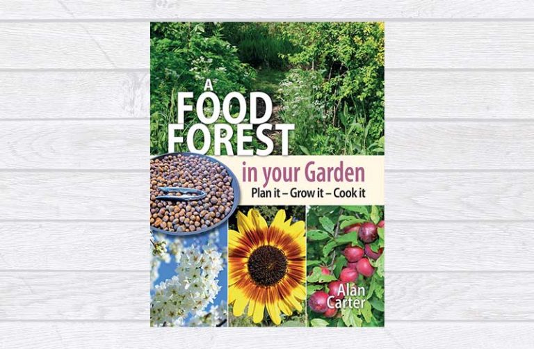 A Food Forest in Your Garden