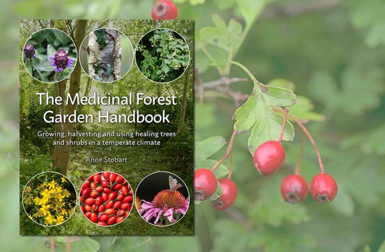 The Medicinal Forest Garden Handbook