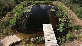 How to Make A DIY Swimming Pool