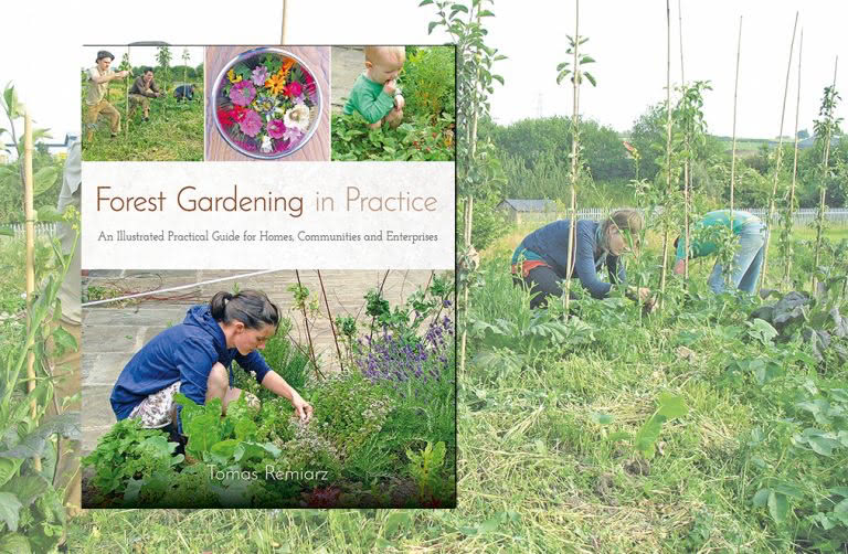 Forest Gardening in Practice