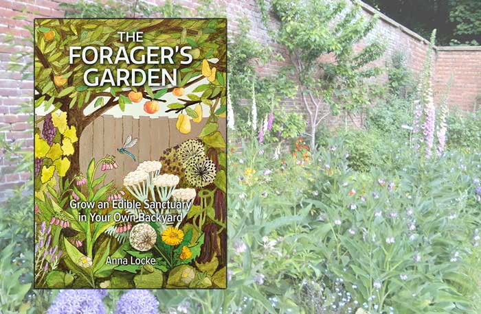 The Forager’s Garden