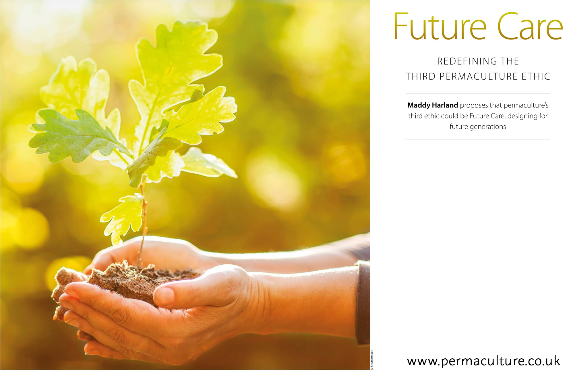 Redefining the Third Permaculture Ethic: Future Care