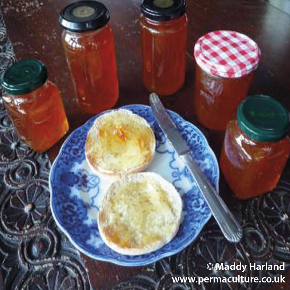 How to Make Orange Marmalade