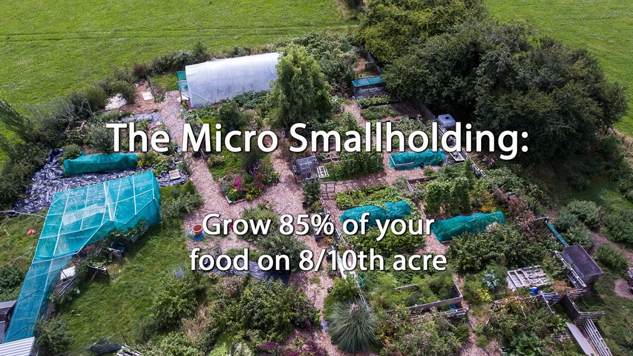 The Micro Smallholding: Grow 85% of your Food on 8/10th Acre