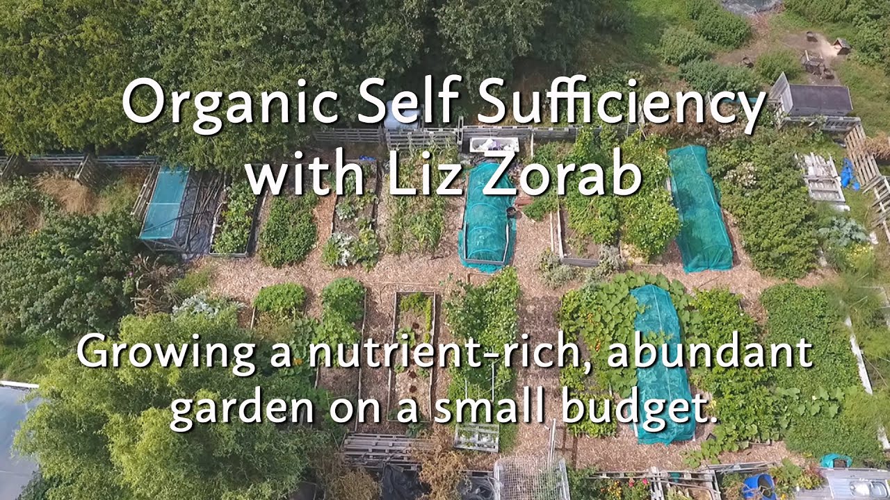 Growing a Nutrient-rich, Abundant Garden on a Small Budget