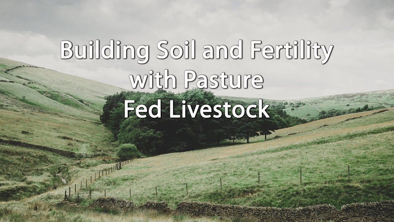 Building Soil and Fertility with Pasture Fed Livestock