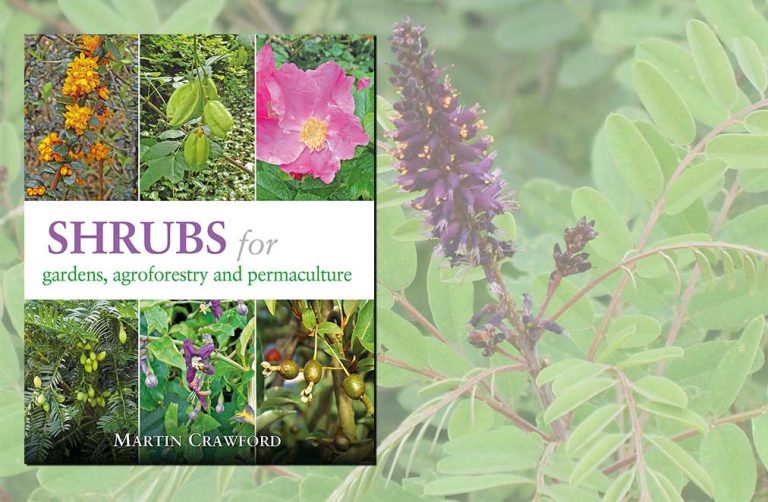 Shrubs for Gardens, Agroforestry and Permaculture