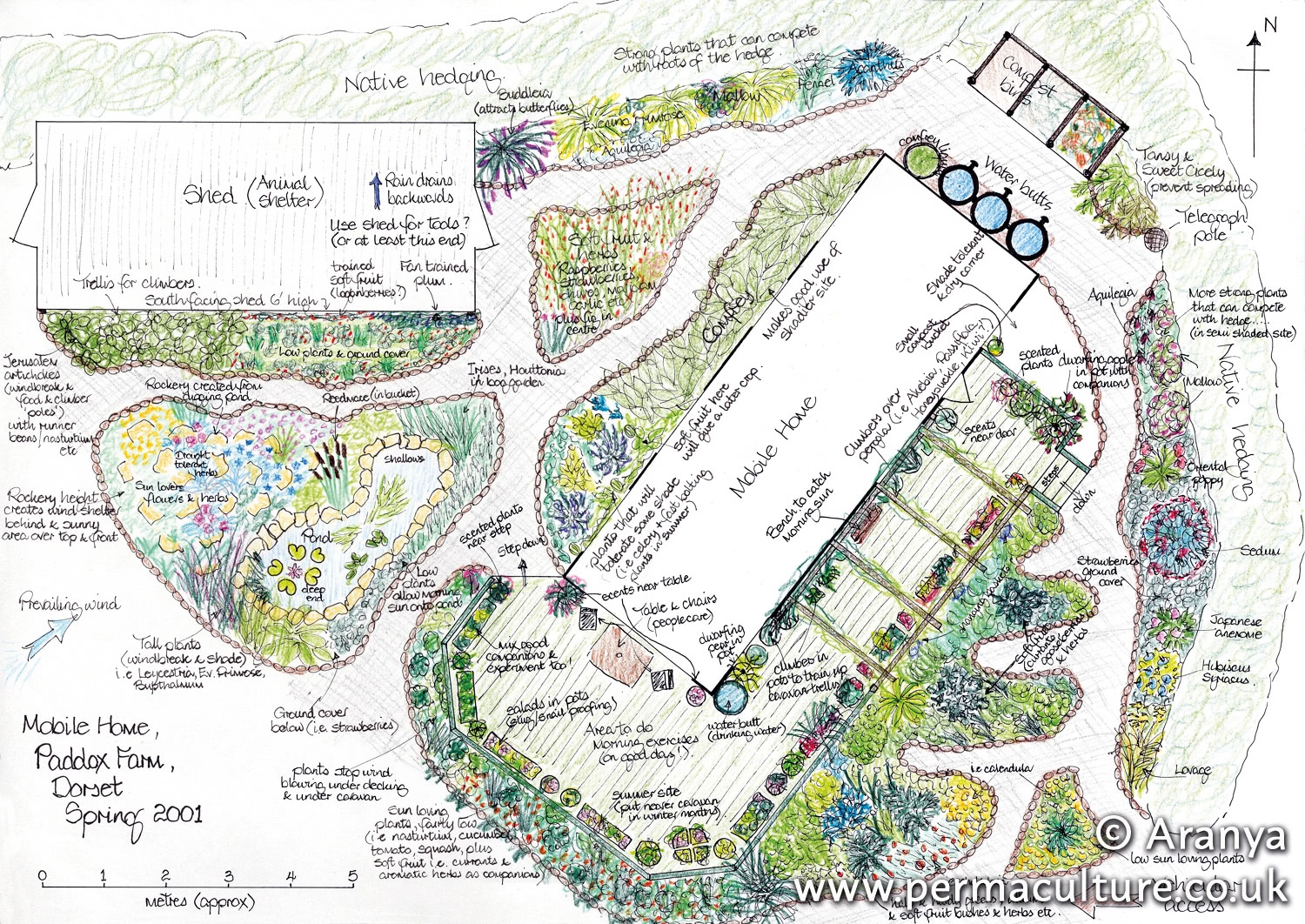 Why Permaculture Needs Design