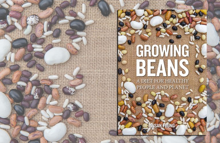 Growing Beans