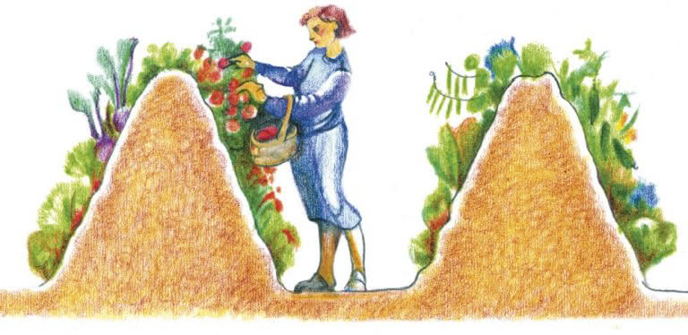 The Many Benefits of Hugelkultur - Permaculture