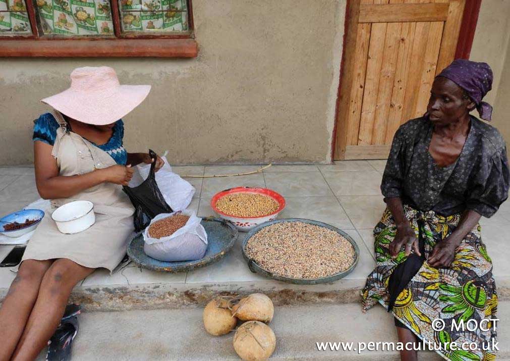 Permaculture Tools for Local Food and Strengthening Community