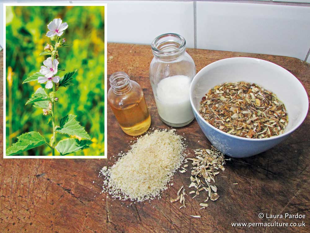 Benefits of Marshmallow (Althaea officinalis) – hand cream and face mask recipes