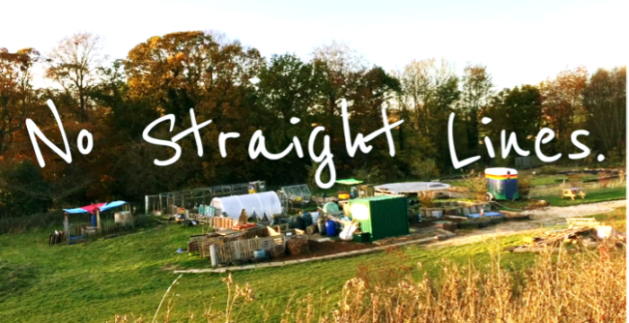 No Straight Lines – the many benefits of school allotments