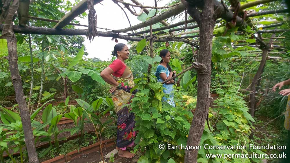 Restoring Diverse Edible and Medicinal Forests