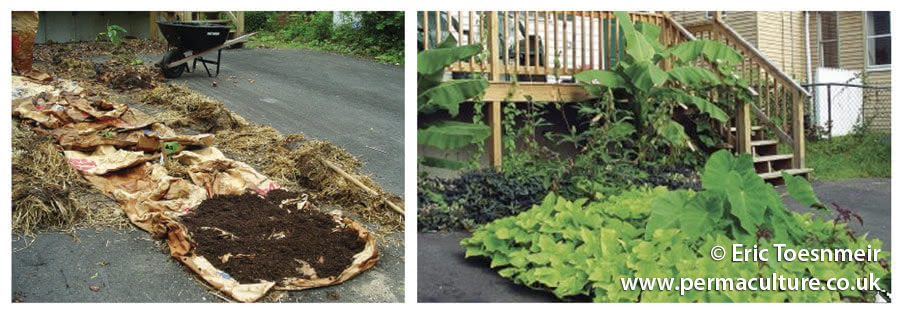 Sheet Mulching in 9 Easy Steps