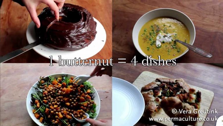 Four Recipes, One Butternut Squash