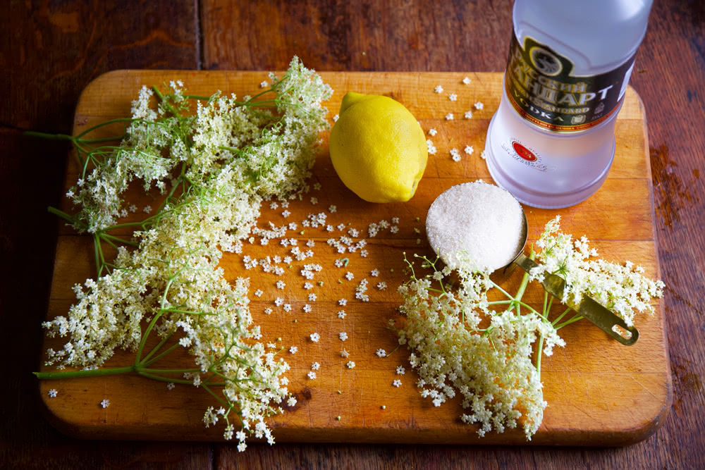 Elderflower-%C2%A9Steph.jpg