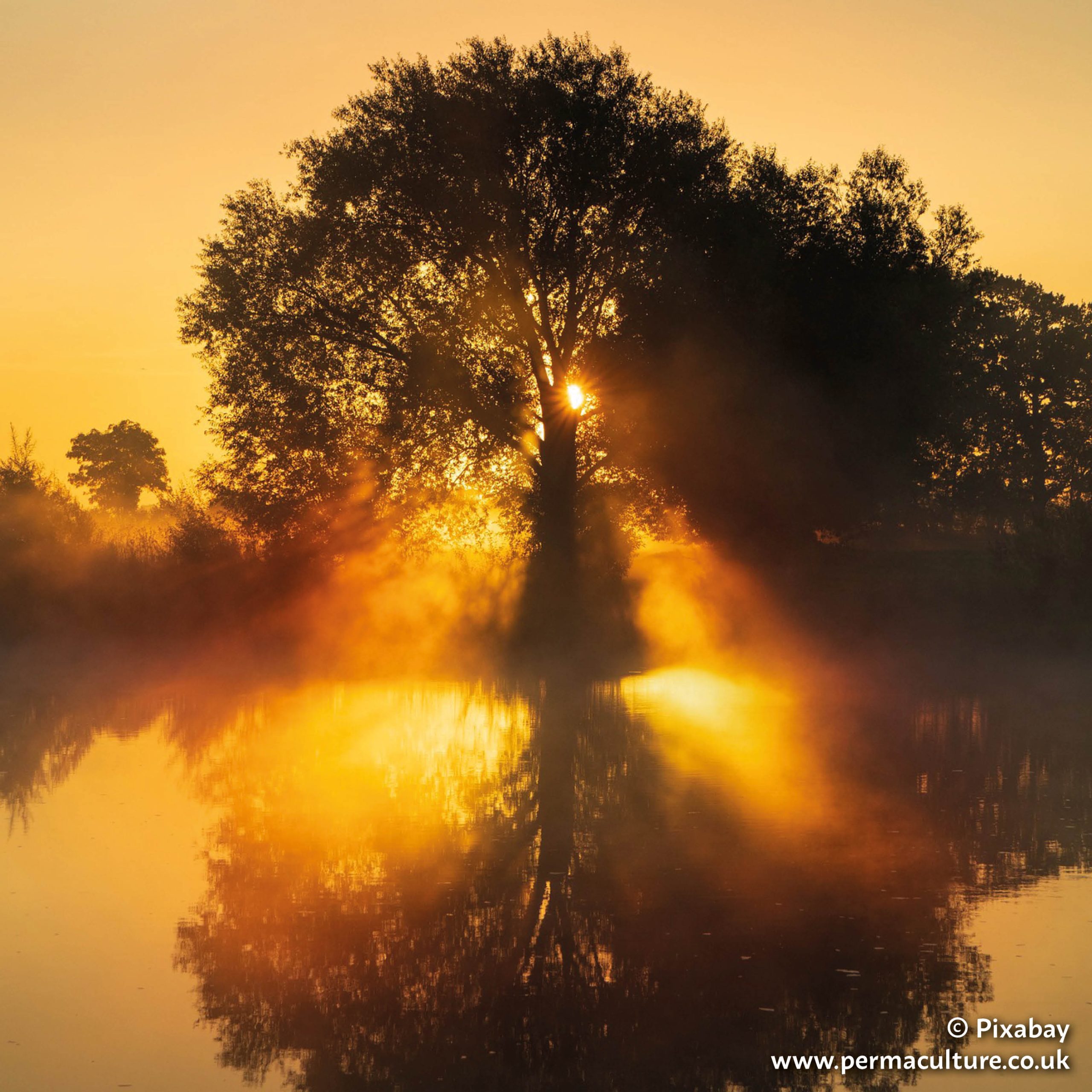 Spring Equinox – 21st – 22nd March
