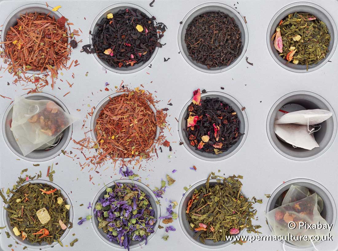 Drying Herbs for Herbal Recipes with Glennie Kindred
