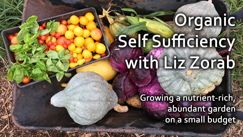 Organic Self Sufficiency with Liz Zorab: Growing a nutrient-rich, abundant garden on a small budget