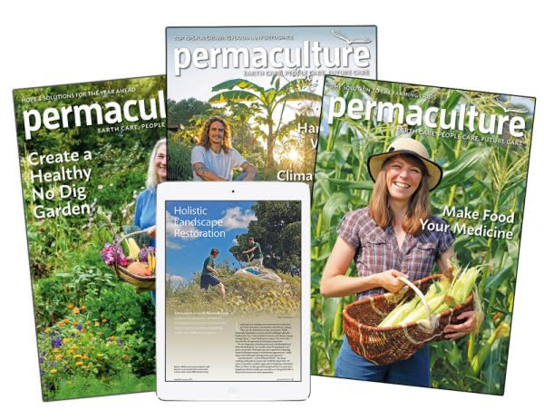 Subscribe to Permaculture magazine and get free digital access to all 30+ years of back issues.