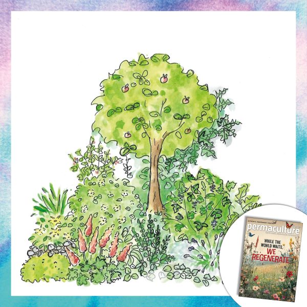 Permaculture magazine subscription – direct debit only - Image 5