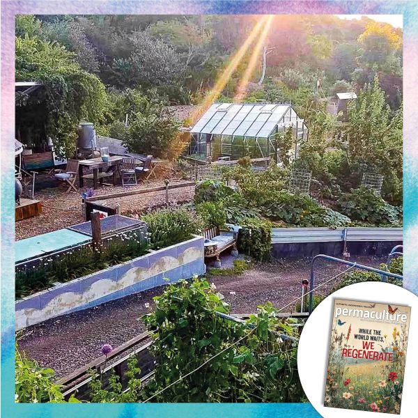 Permaculture magazine subscription – direct debit only - Image 3