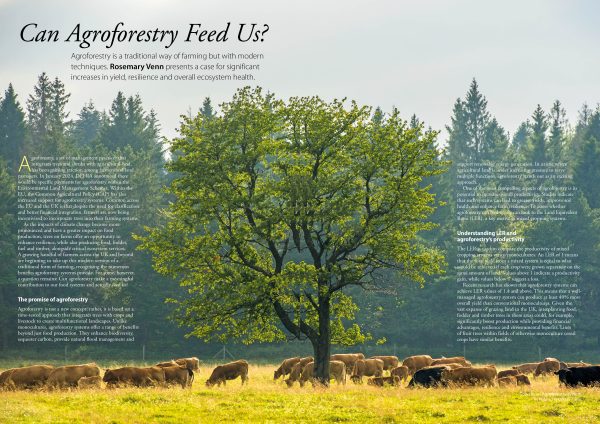 Permaculture magazine subscription – direct debit only - Image 2