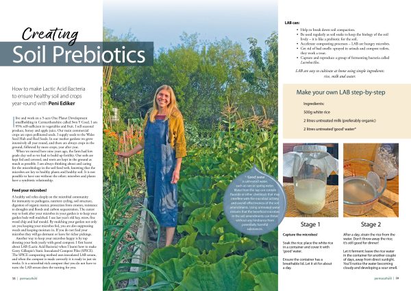 Permaculture magazine subscription – direct debit only - Image 4