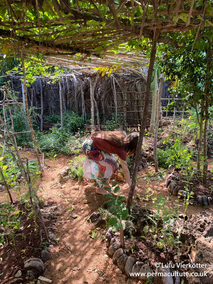 Permayouth in Zanzibar