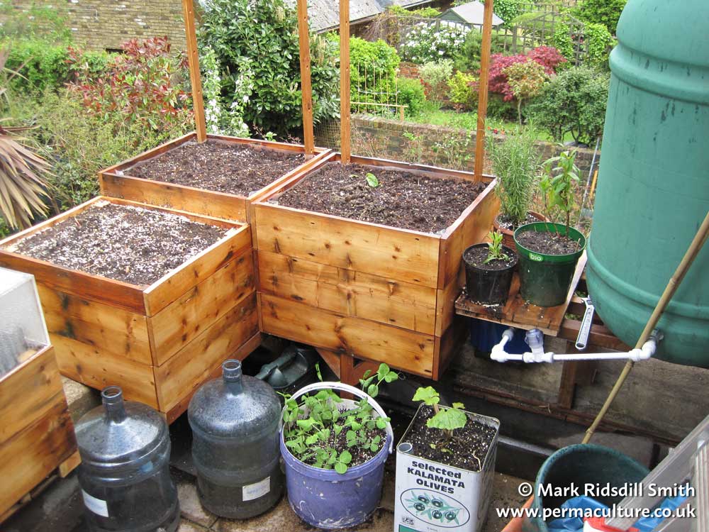 DIY Self-watering Container Garden
