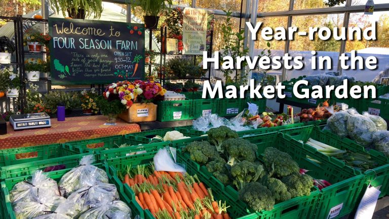 Year-round Harvests in the Market Garden