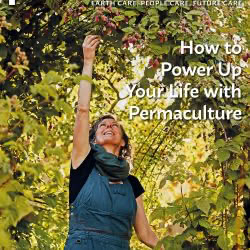 Latest Issue