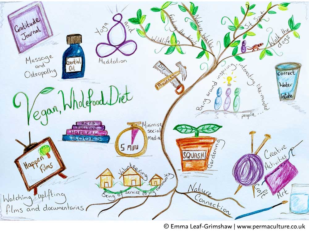 Managing Grief and Anxiety – a permaculture design example