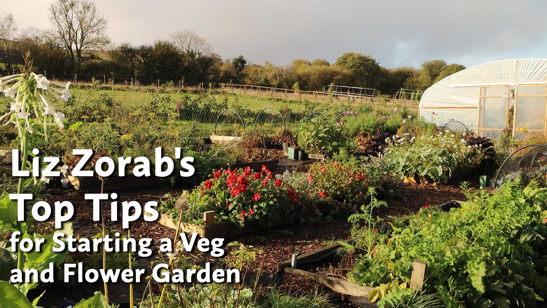 Top Tips for Starting a Veg and Flower Garden with Liz Zorab