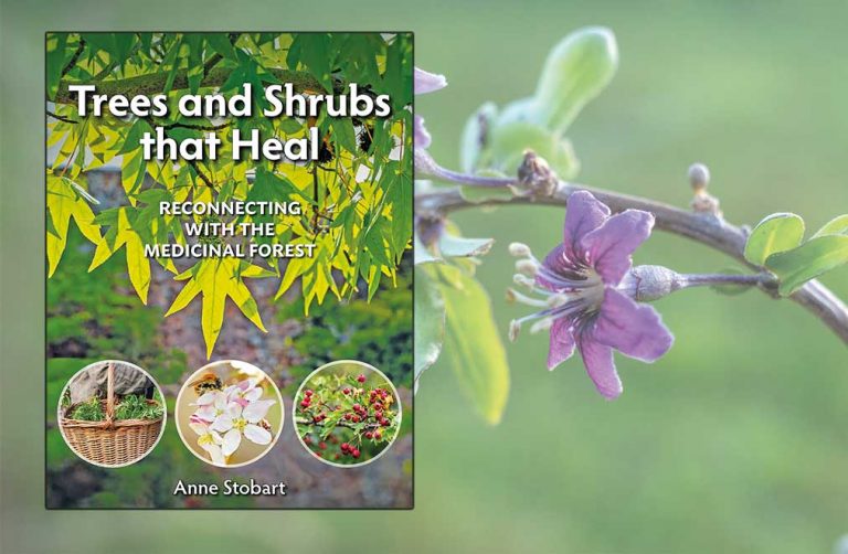 Trees and Shrubs that Heal