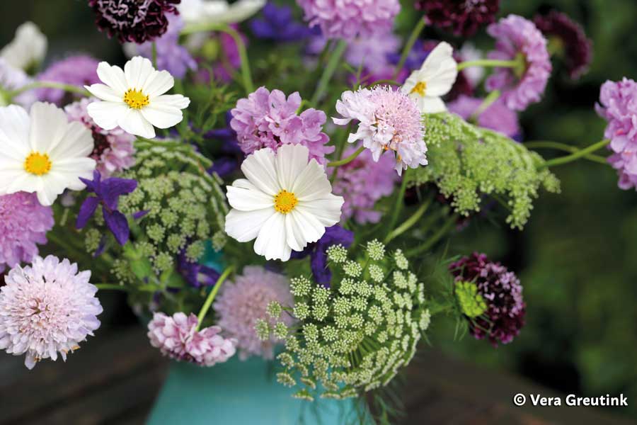 Top Story: Tips for Creating an Organic Cut Flower Garden