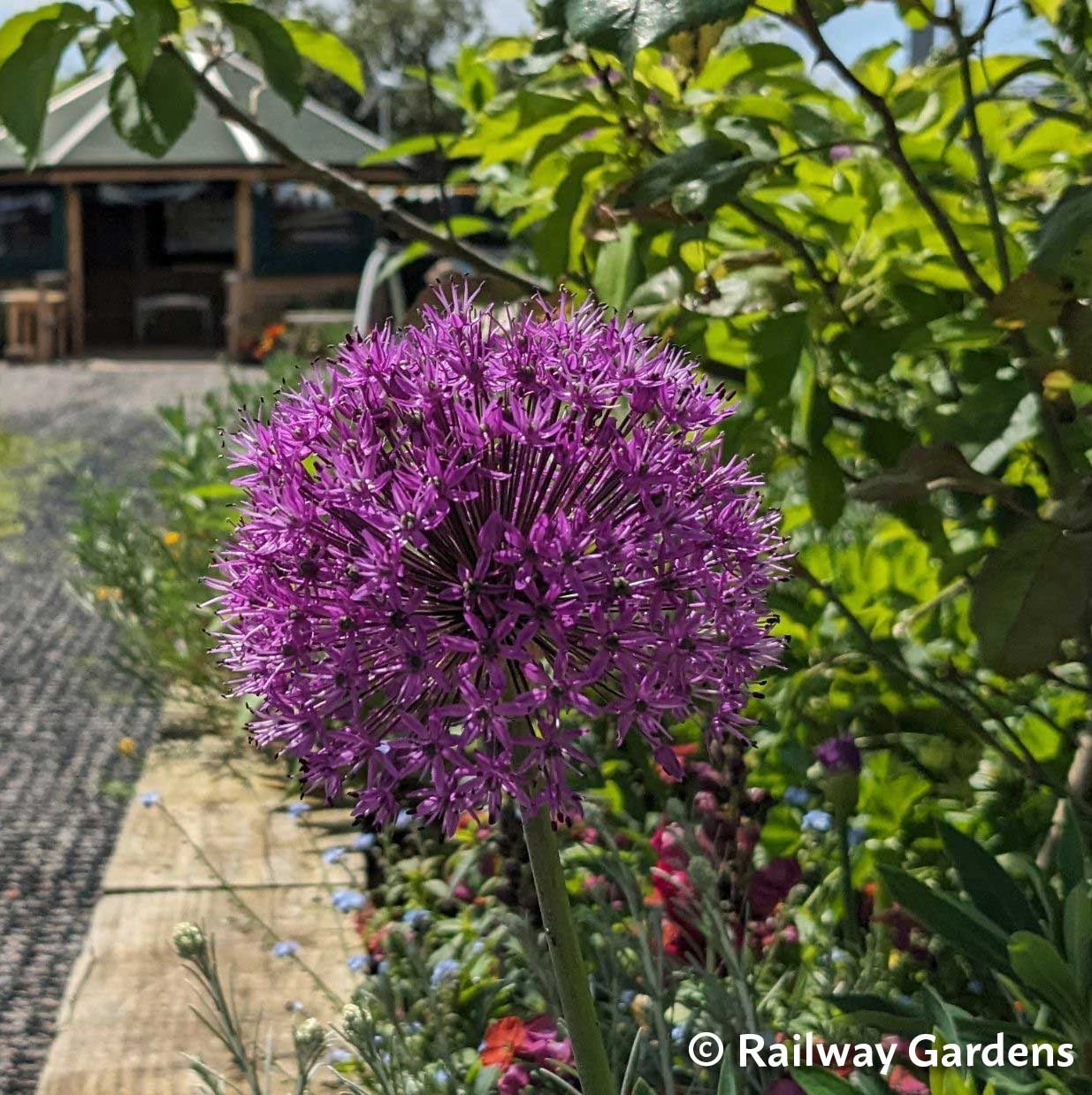 Community-led Green Spaces – Support for projects