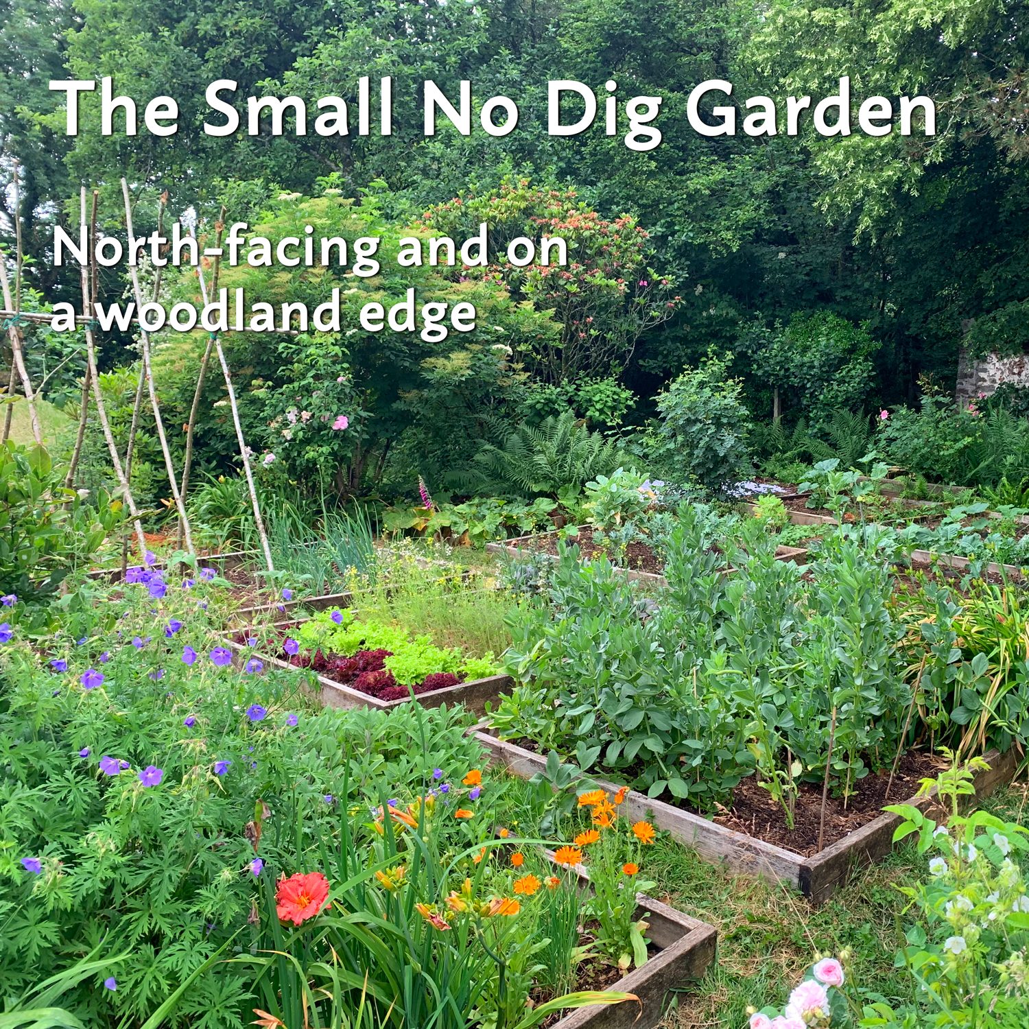 The Small No Dig Garden