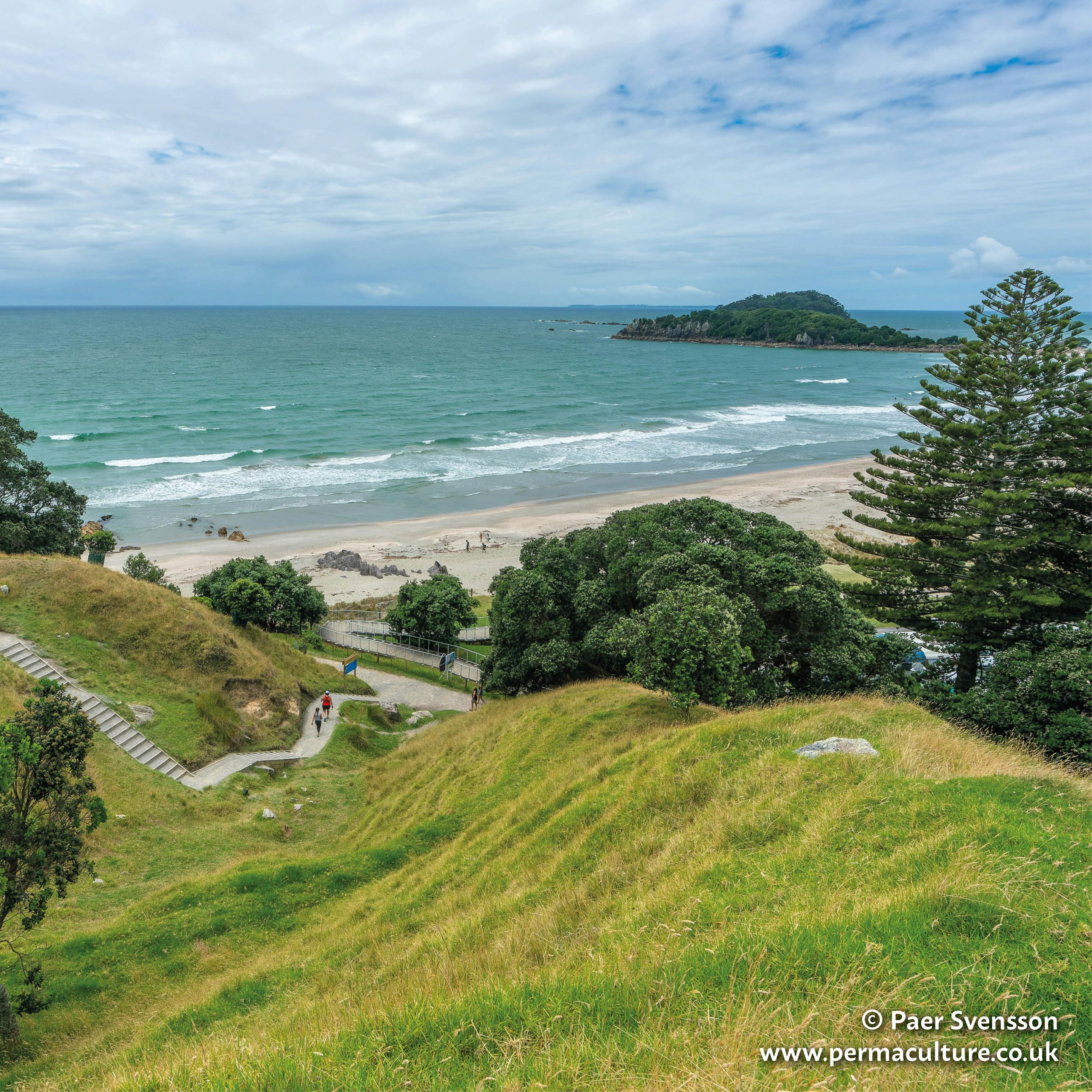 Farming with Nature: igniting traditional Māori growing techniques
