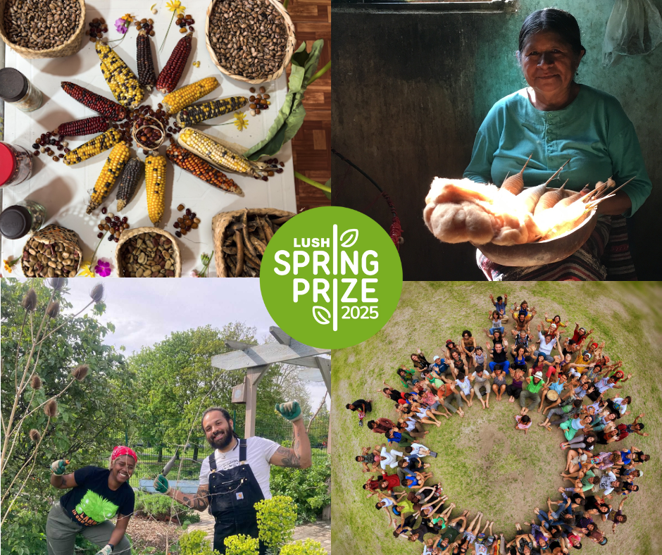While Politicians Wait, We Regenerate – inspiring stories from the changemakers