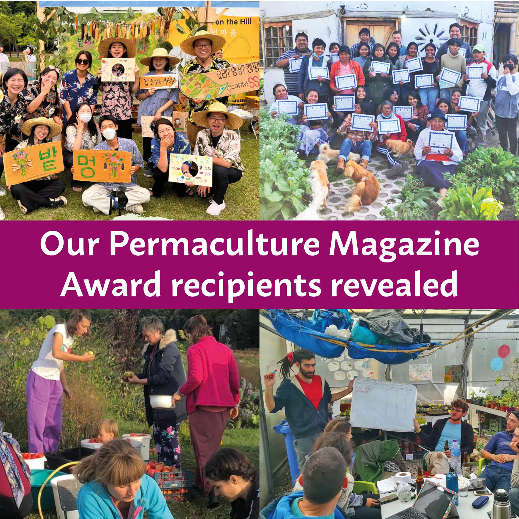 Top Story: Solutions from our Global Regenerators