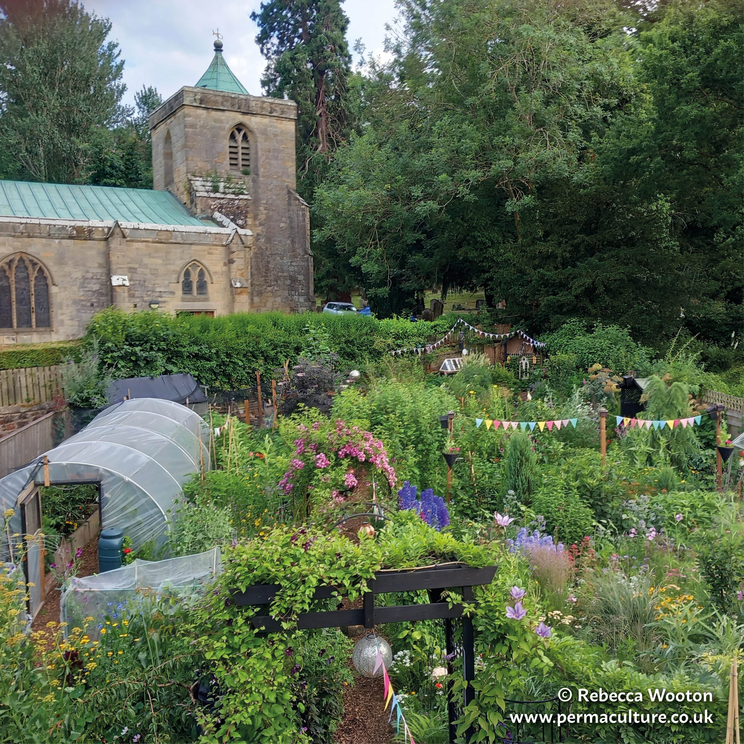 Permaculture Back Garden – fourth year sweet-spot